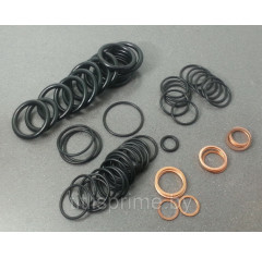 RS-25; Ремкомплект распределителя   T4-Z01 (RS25T4Z01)