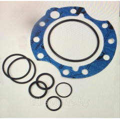 Комплект прокладок SMF20