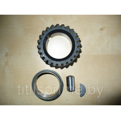 83.003.017; Шестерня коленчатого вала 83-003-017