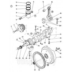 Шкив коленчатого вала (42 мм) 83-003-551