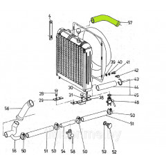 Патрубок 5577-01-1244