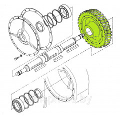 5592-30-9007; Шестерня
