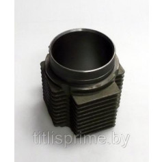 443915660510; Цилиндр компрессора Татра