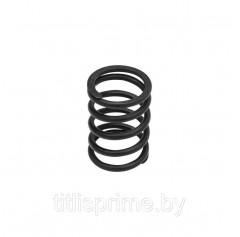 TX13174;  Пружина 115.02.175; S.62065
