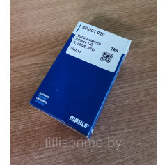 80.001.020; Комплект осевых вкладышей двигателя V4/V6, STD