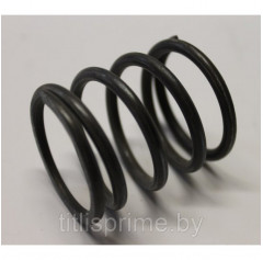 TZ10087; Пружина TZ4K-14