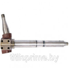 80.205.070; Цапфа лв. LH, 80.205.969