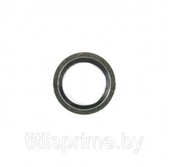 78.800.108; Уплотнительное кольцо